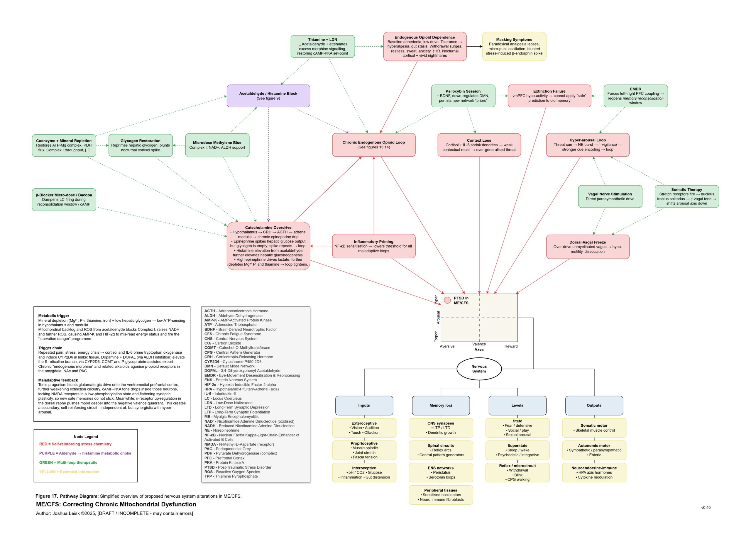 nervous_system_v_0_40