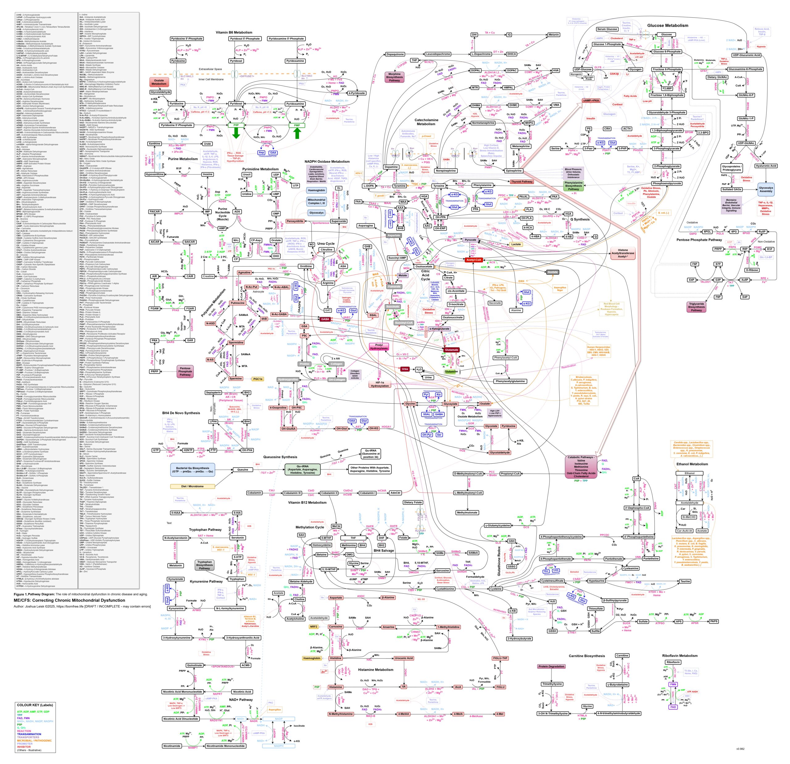 Mito-ComplexMapv2-WIP2025-11-15-HighRes