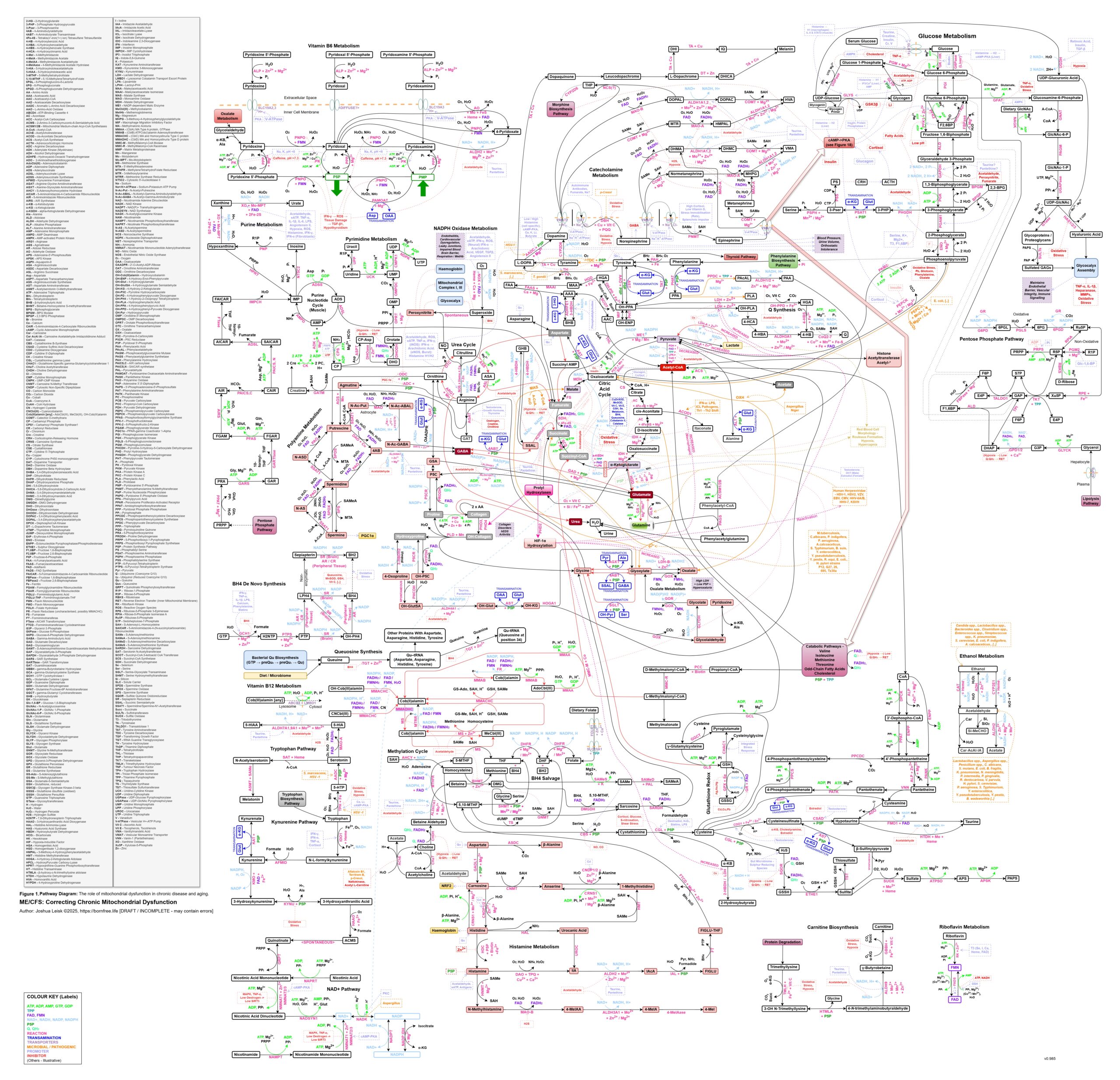 Mito-ComplexMapv2-WIP2025-11-30-HighRes
