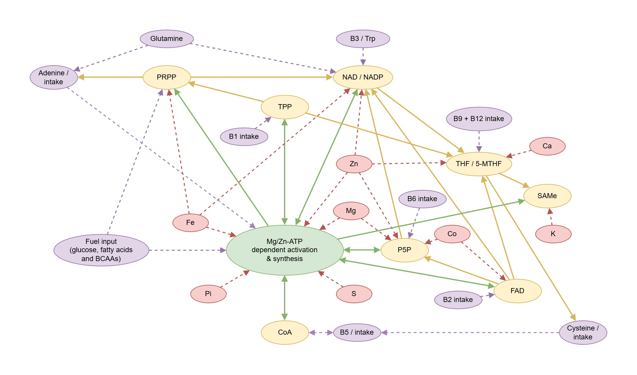 electrolyte_dependencies