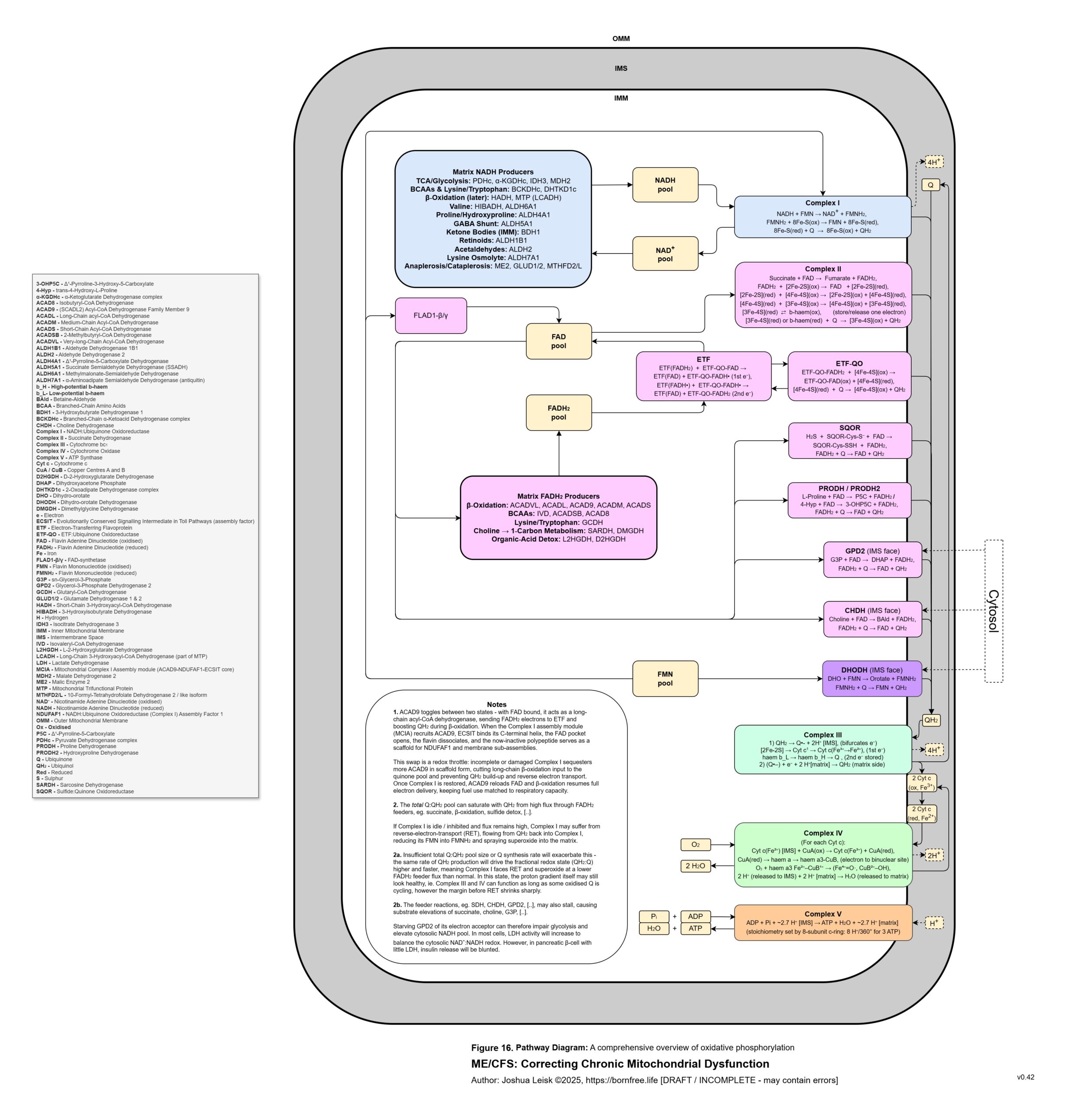 mitochondrial_redox_v_0_42