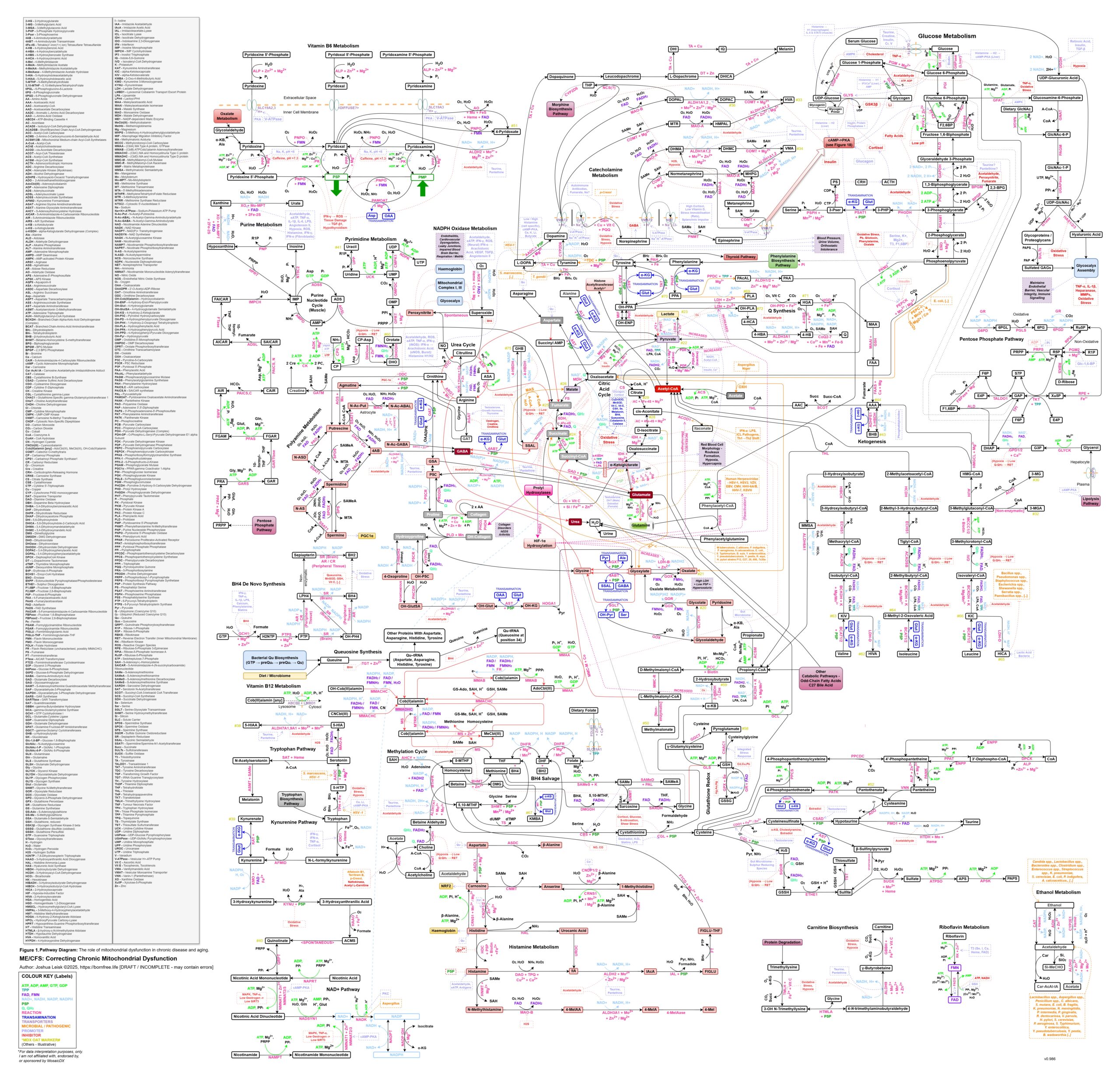 Mito-ComplexMapv2-WIP2025-12-10-HighRes