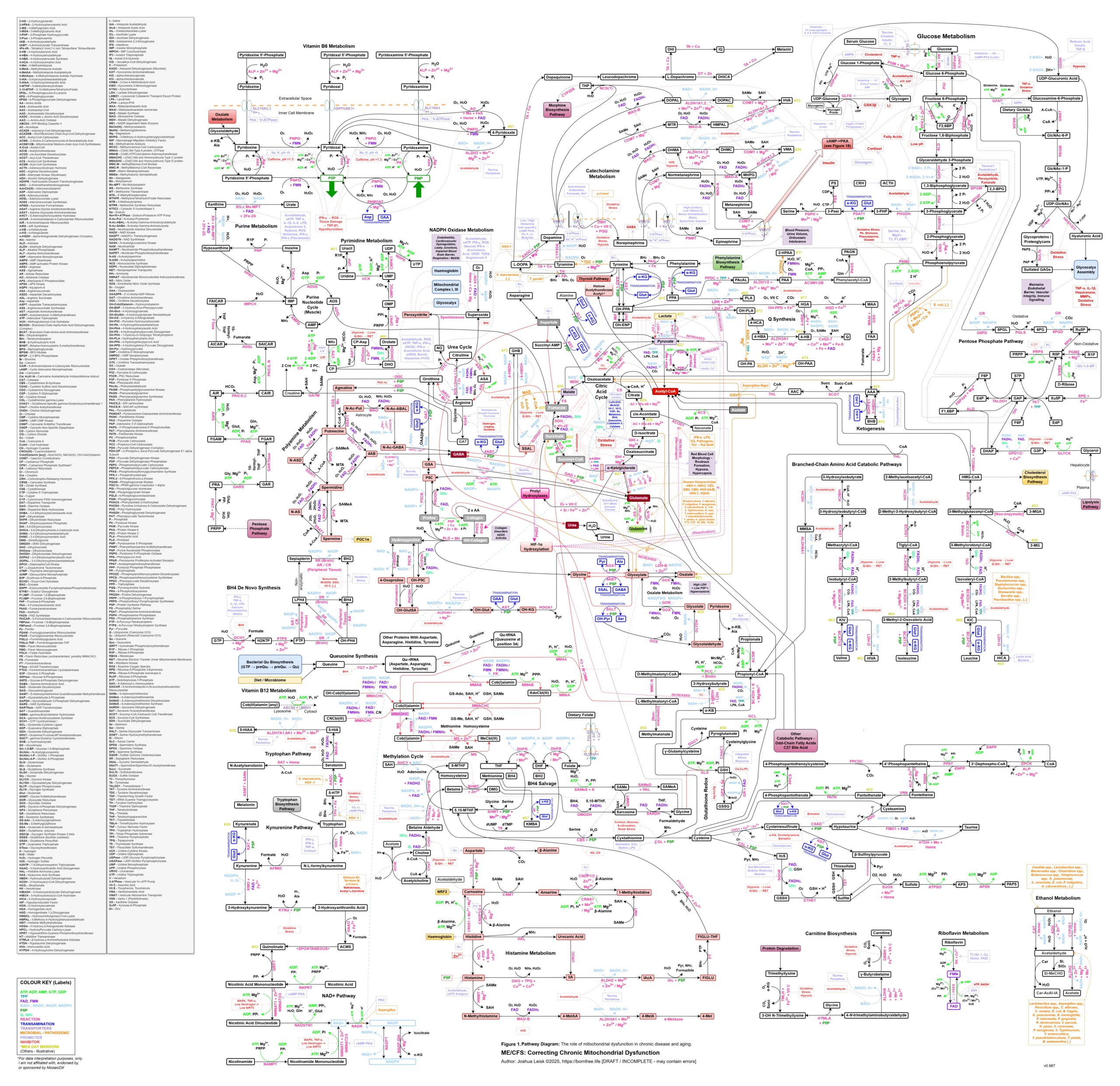 Mito-ComplexMapv2-WIP2025-12-12-HighRes