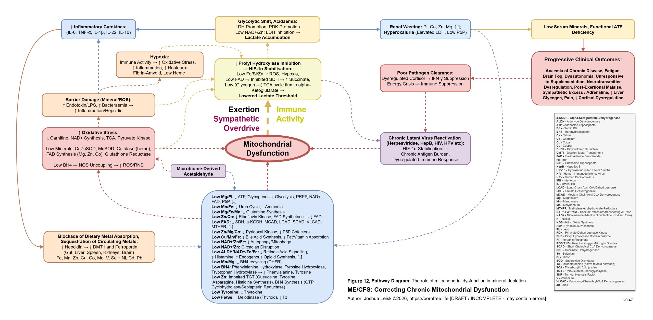 Prolyl_Hydroxylases_v0_47