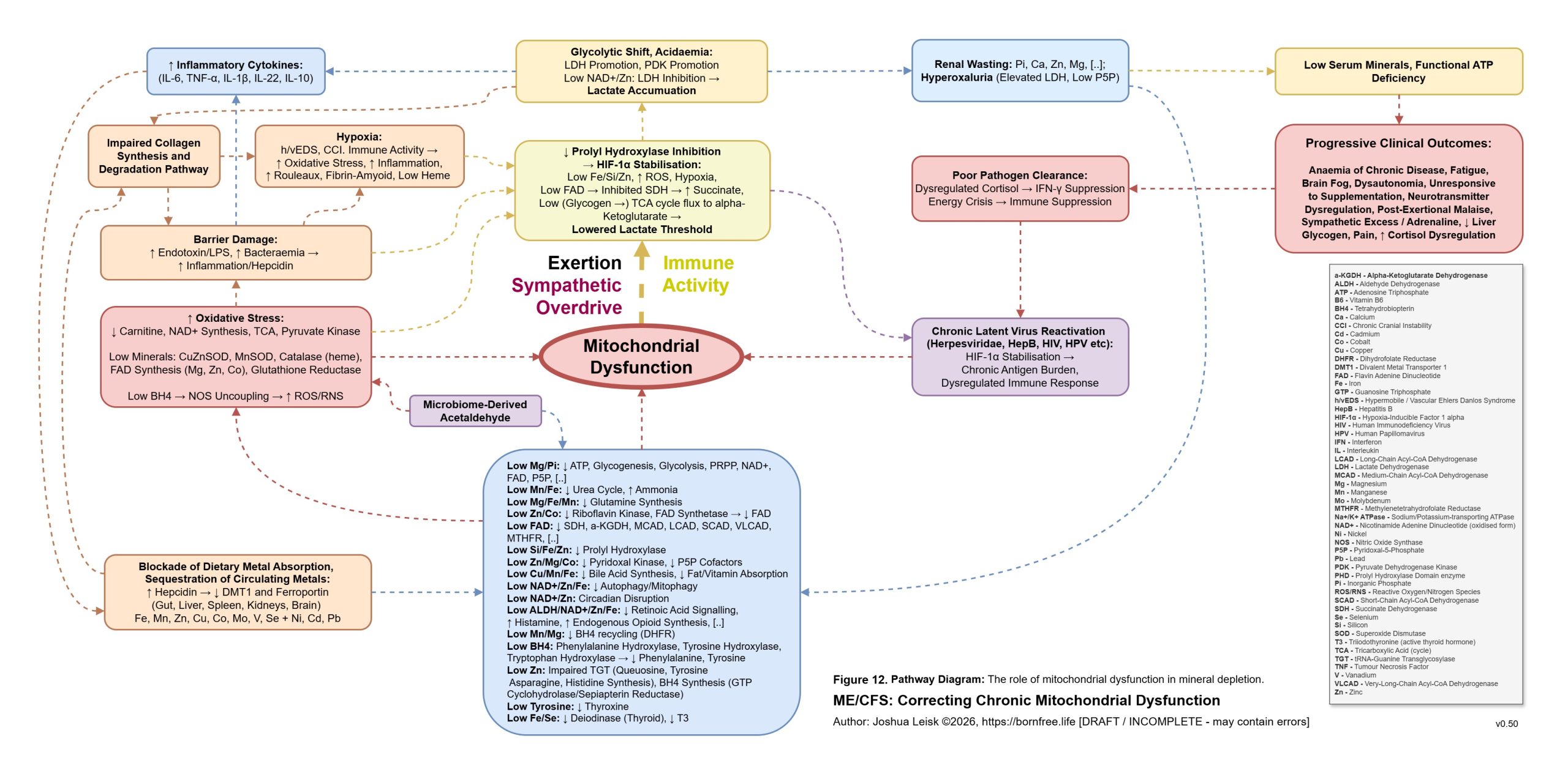 Prolyl_Hydroxylases_v0_50