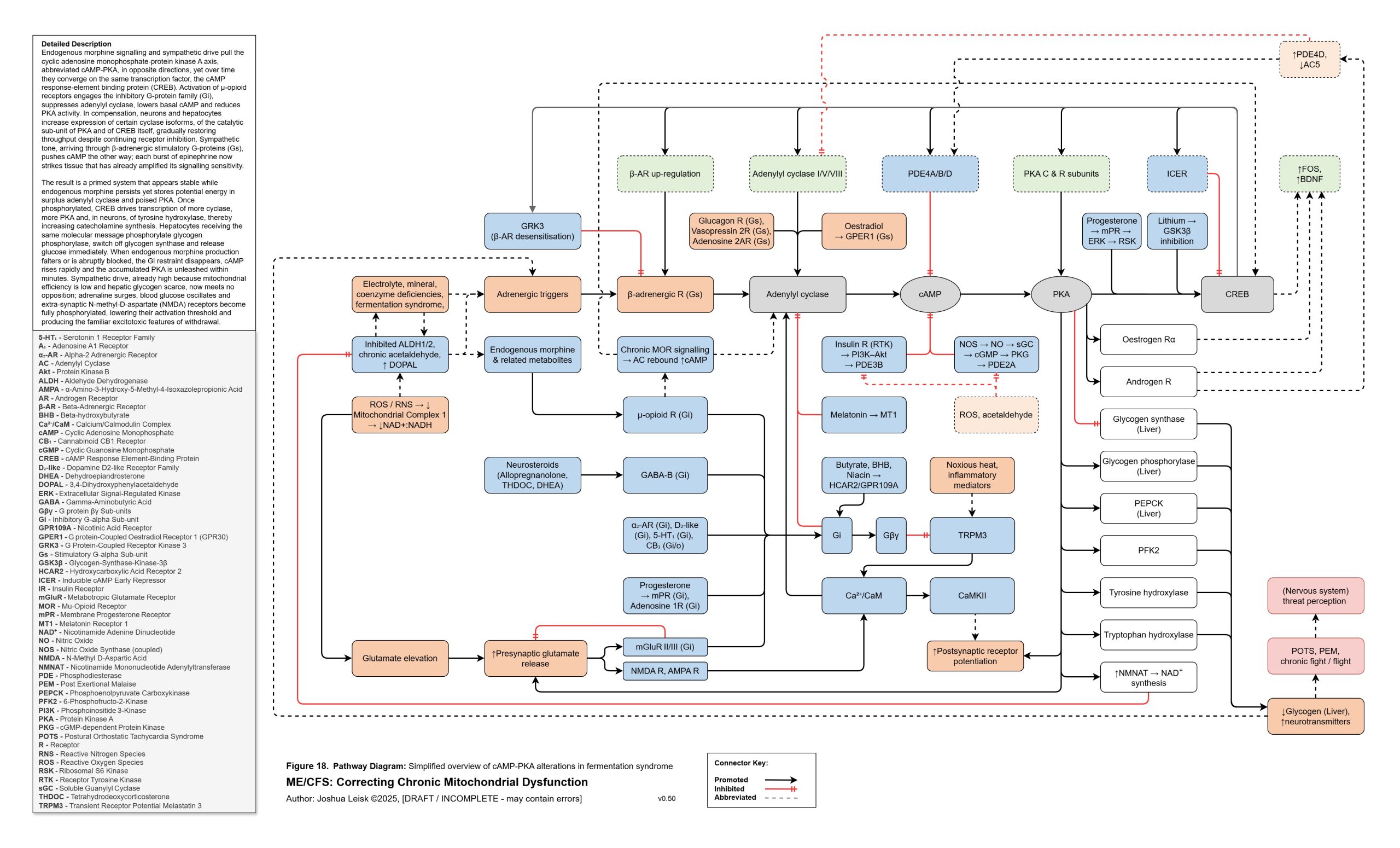 camp-pka-creb_v0_50b