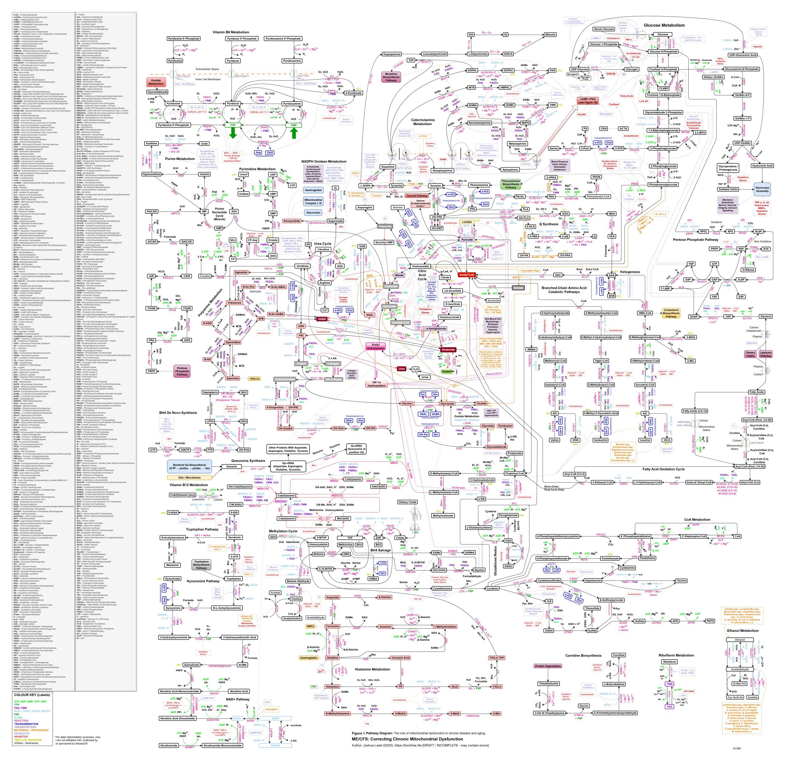 Mito-ComplexMapv2-WIP2026-2-4-HighRes