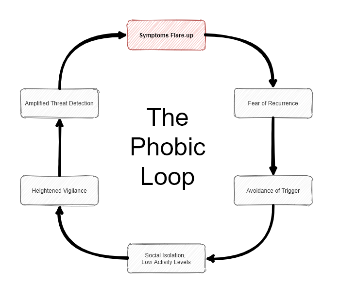 phobic_loop_sml