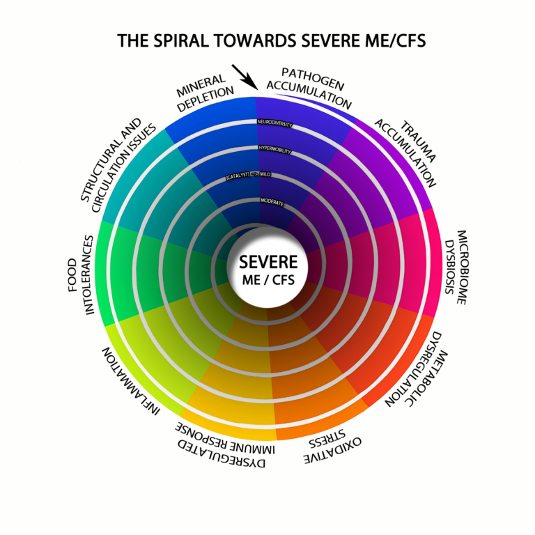 Coloured inward spiral linking mineral depletion, pathogens, trauma, microbiome changes, metabolism, oxidative stress and immune activity in a proposed worsening cycle.