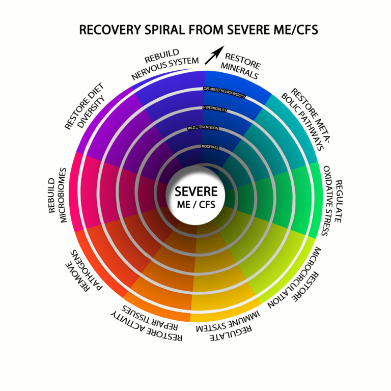 Coloured outward spiral showing proposed connections among mineral restoration, metabolism, immune activity, circulation, microbiomes and nervous-system recovery.