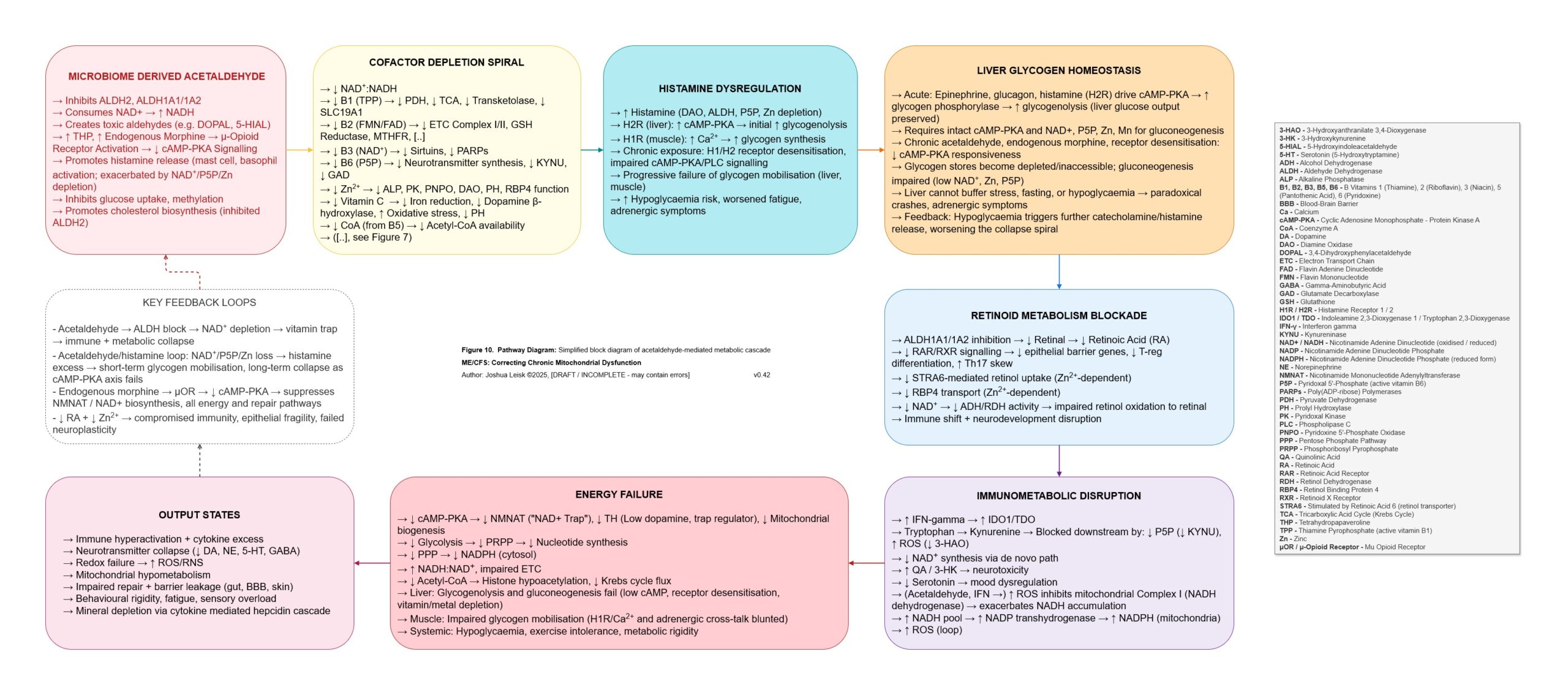 acetaldehyde_metabolism_v0_42