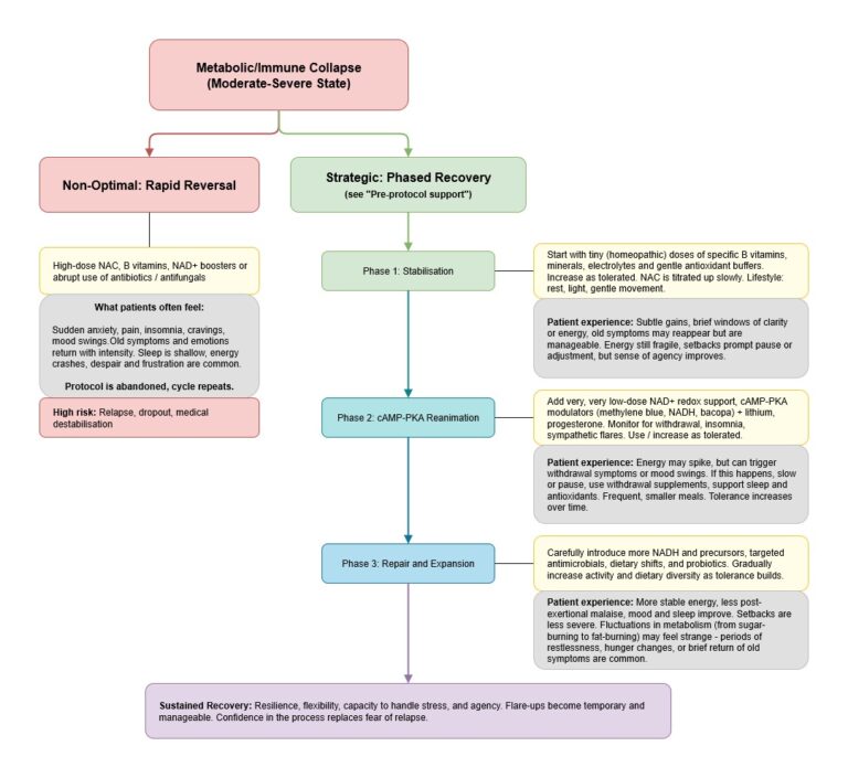 Flowchart contrasting rapid reversal with a proposed phased recovery approach, with reported experiences beside each phase.