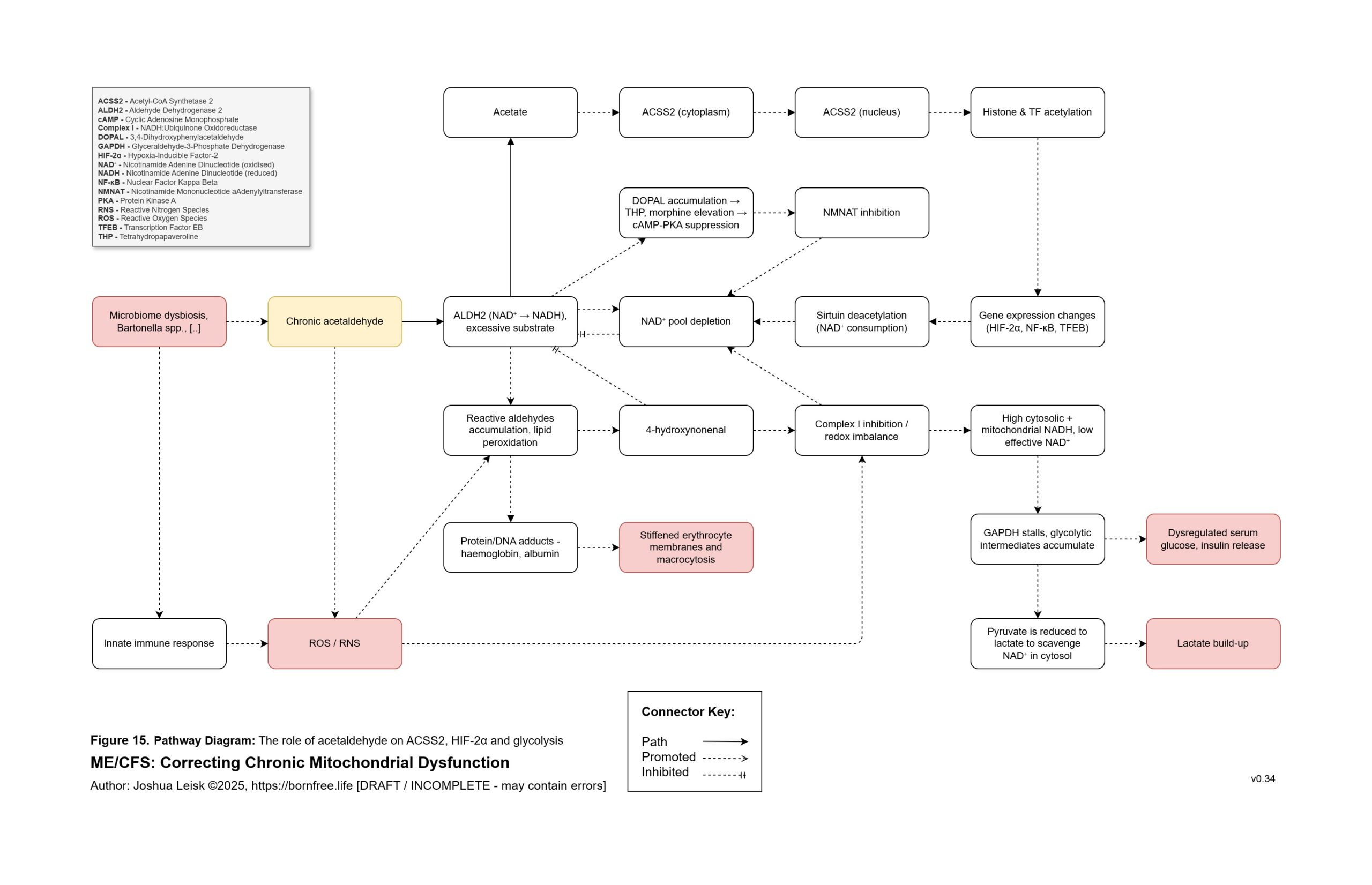acetaldehyde_ACSS2_v_0_34