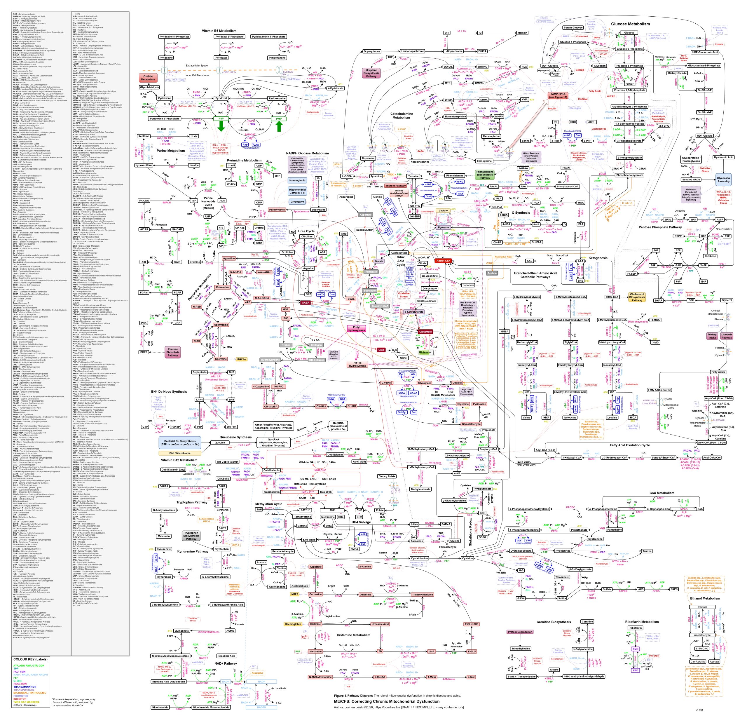 Mito-ComplexMapv2-WIP2026-3-18-HighRes