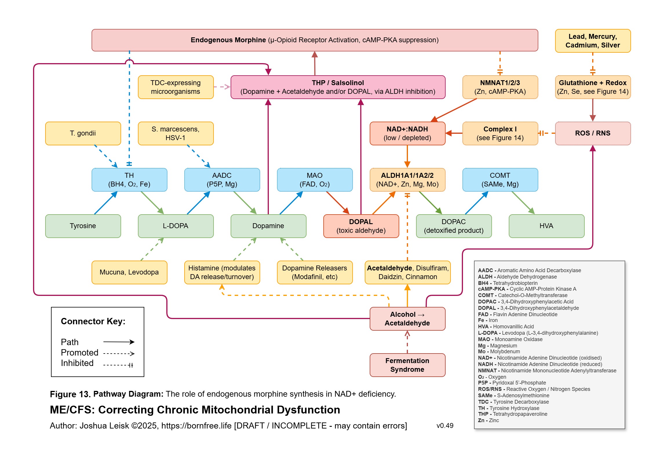 Endogenous Morphine_v0_49a