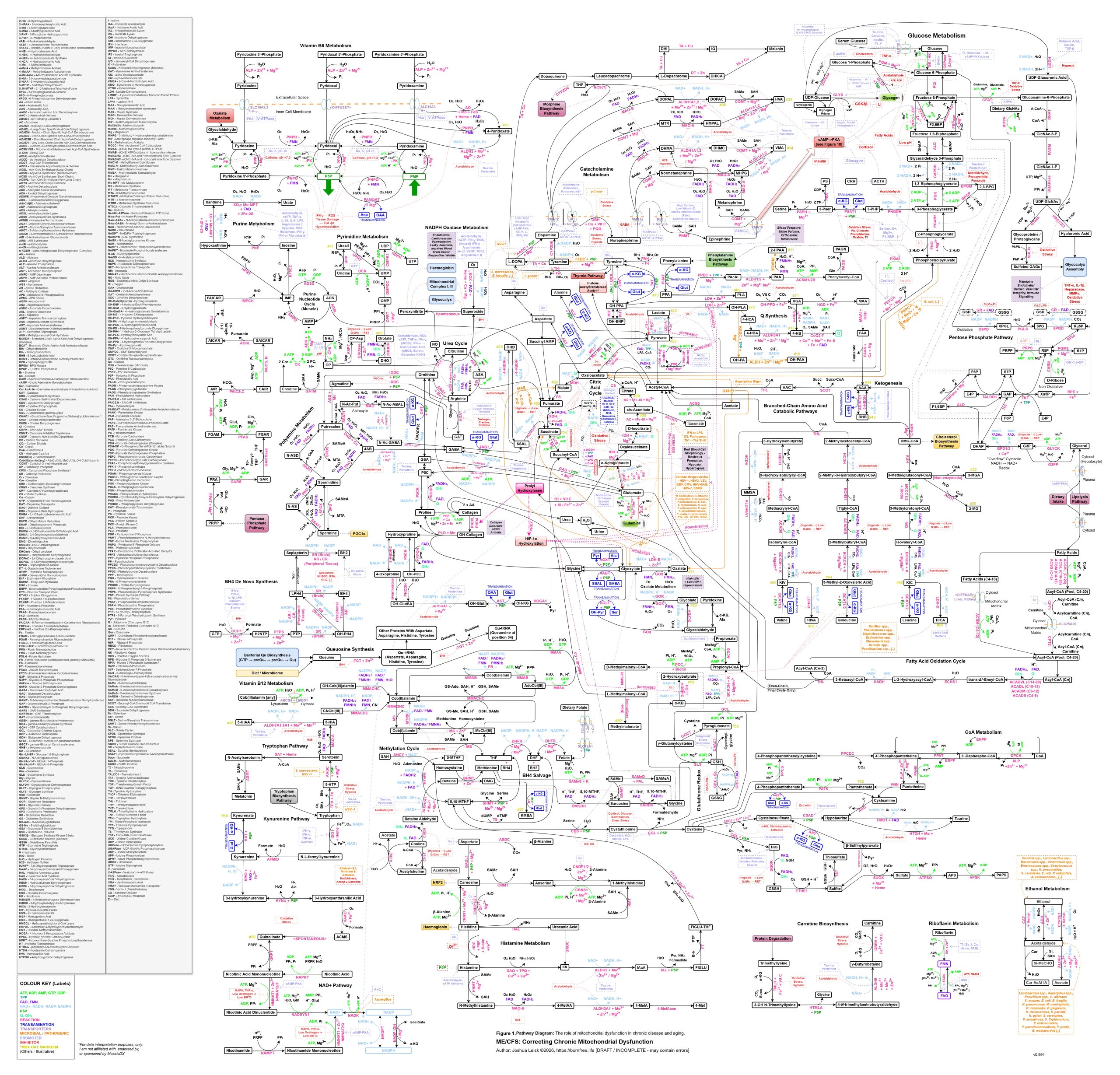Mito-ComplexMapv2-WIP2026-4-27-HighRes
