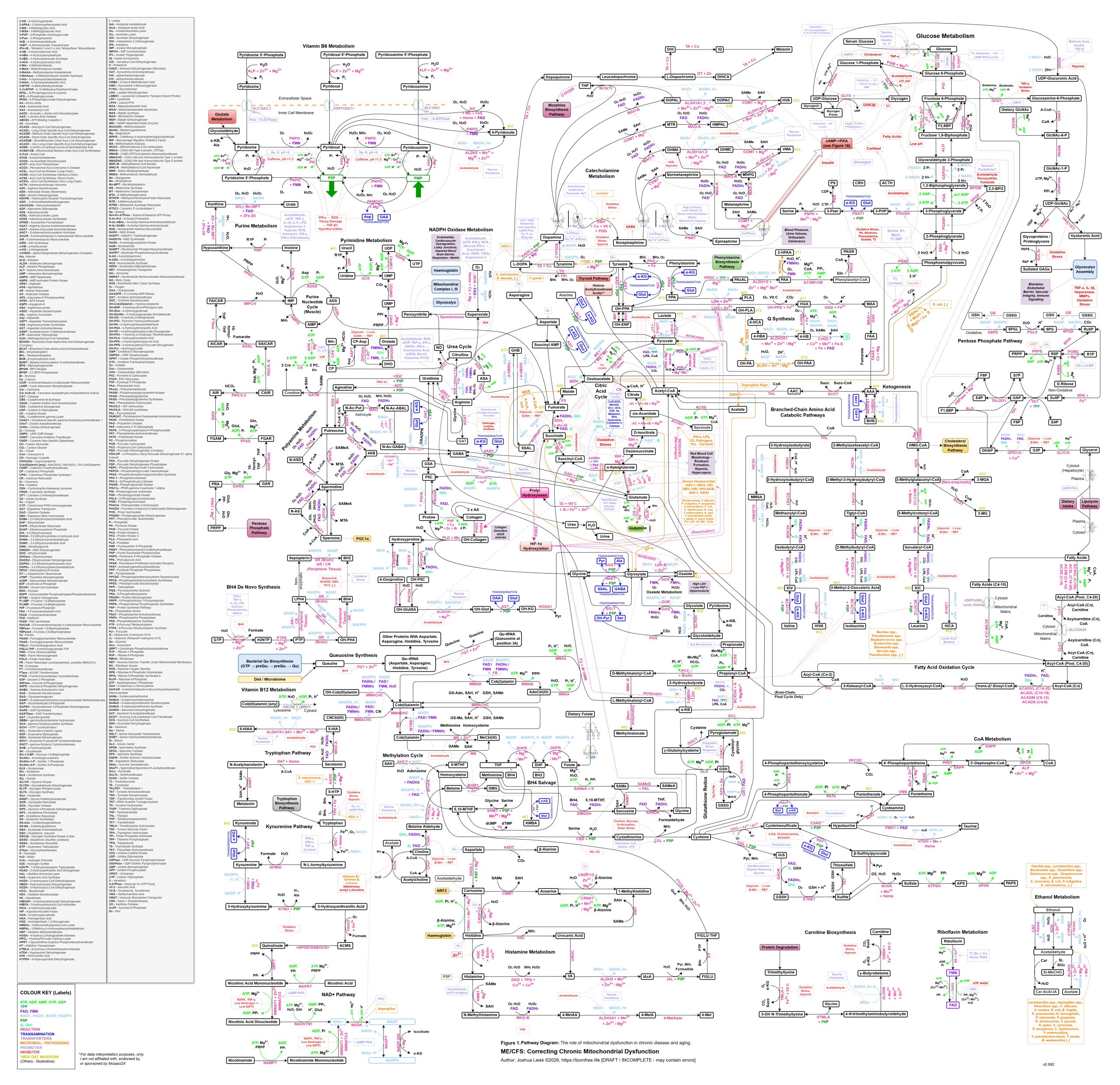 Mito-ComplexMapv2-WIP2026-4-3-HighRes