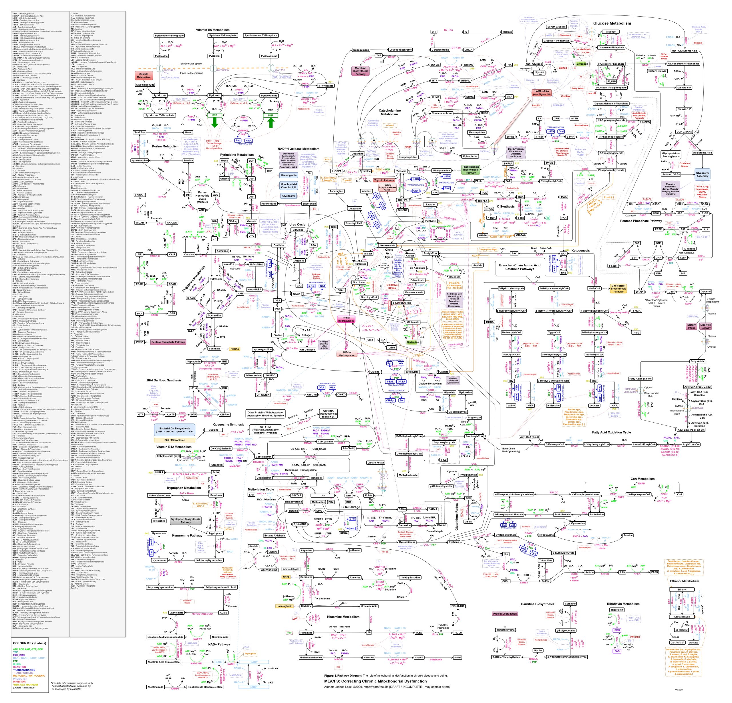 Mito-ComplexMapv2-WIP2026-5-21-HighRes